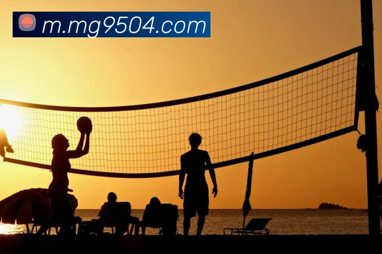 MG娱乐平台官网服务体系