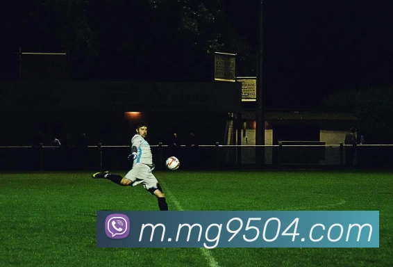 MG娱乐平台官网APP 体育赛事宣传图